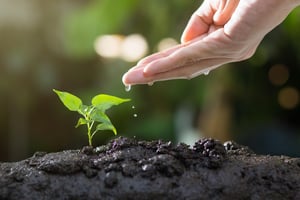 Mão humana regando delicadamente uma pequena muda verde plantada em solo úmido, simbolizando cuidado, crescimento e preservação ambiental.